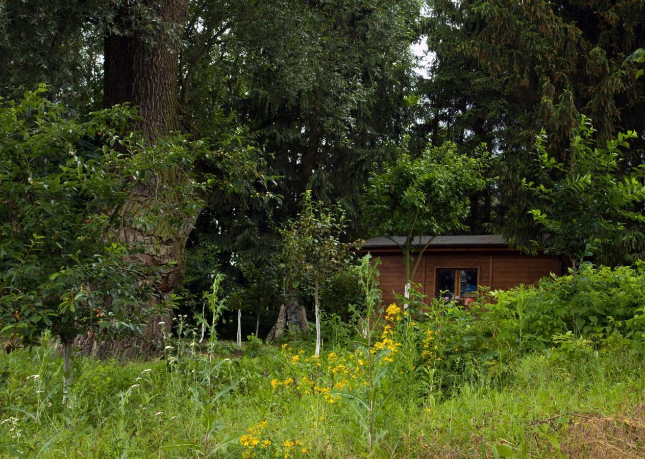 Brzezina Resort - Wille Znin Exterior photo
